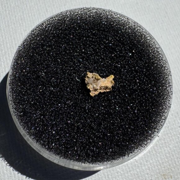 Gold Nugget - Grass Valley, California - 0.25 grams - Picture 5 of 7